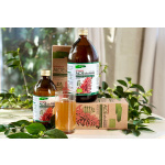 Aloe Arborescens Ricetta di Padre Romano Zago flacone da 500 ml utile al benessere e sostegno gastrointestinale