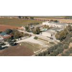 Aloe Arborescens Papaya da 500 gr utile al benessere e sostegno gastrointestinale - immagine 4