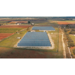 Aloe Arborescens Papaya da 500 gr utile al benessere e sostegno gastrointestinale - immagine 6