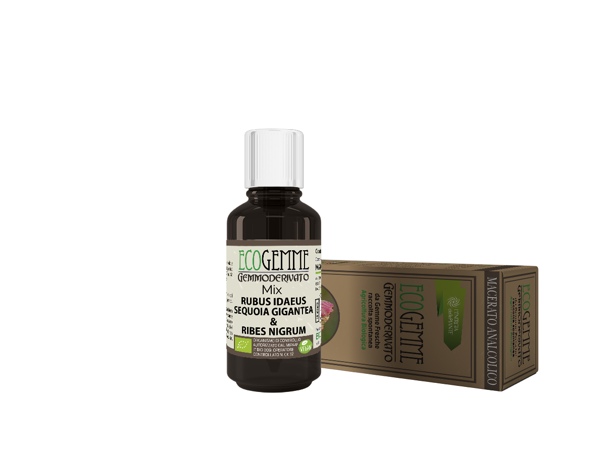 ECOGEMME MIX Rubus Idaeus - Sequoia Gigantea & ribes nigrum 3D Ecogemme Bio Mix Rubus Idaeus Sequoia Gigantea e Ribes Nigrum Gemmoderivato concentrato analcolico sostiene l'equilibrio delle alterazioni endocrine della menopausa e andropausa - immagine 1