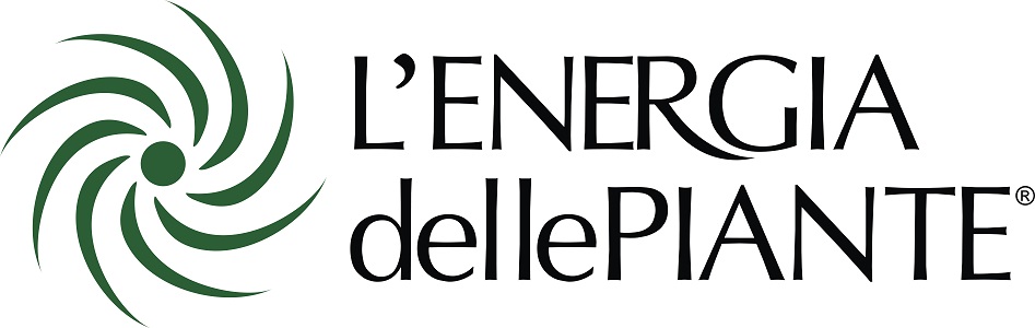 Energia delle Piante
